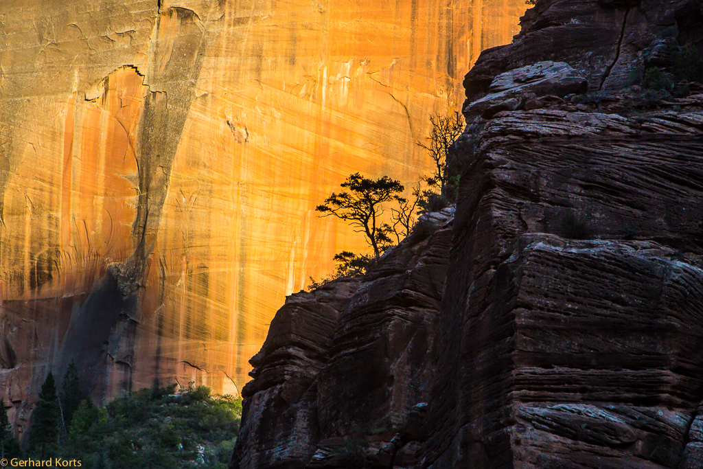 Zion Nationalpark