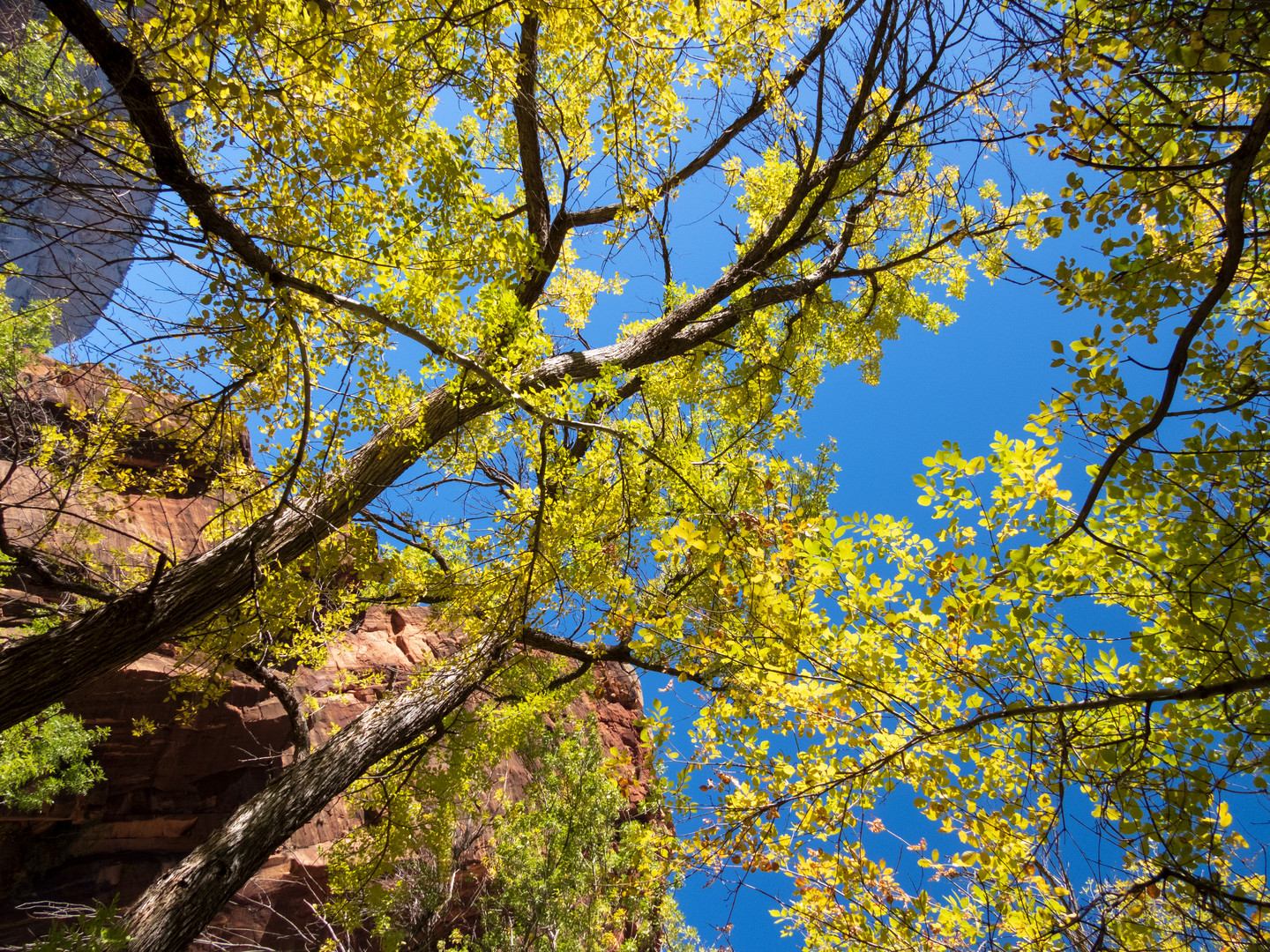 Zion Nationalpark