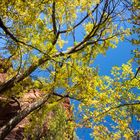 Zion Nationalpark