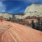 Zion Nationalpark