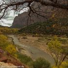 Zion-Nationalpark