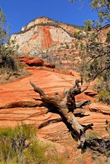 Zion Nationalpark