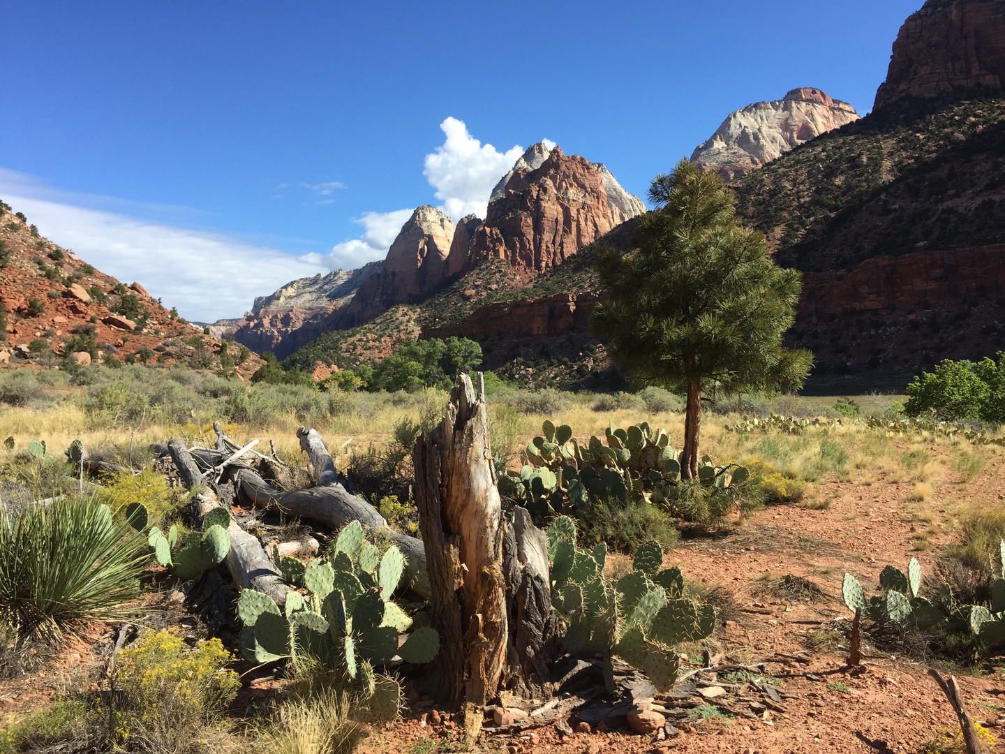 Zion Nationalpark