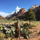 Zion Nationalpark