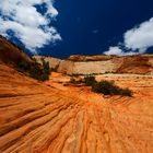 Zion Nationalpark