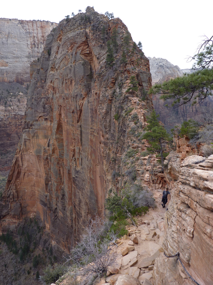 Zion Nationalpark USA