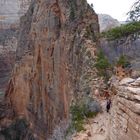 Zion Nationalpark USA