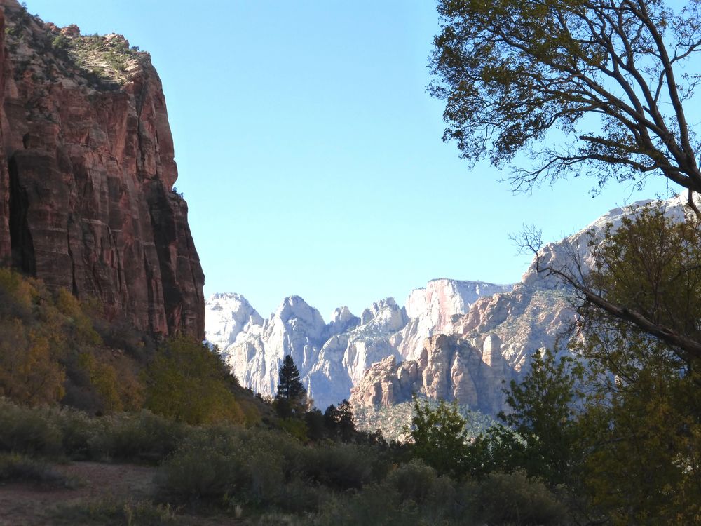 Zion Nationalpark, Utah, USA von Edda Kahl 