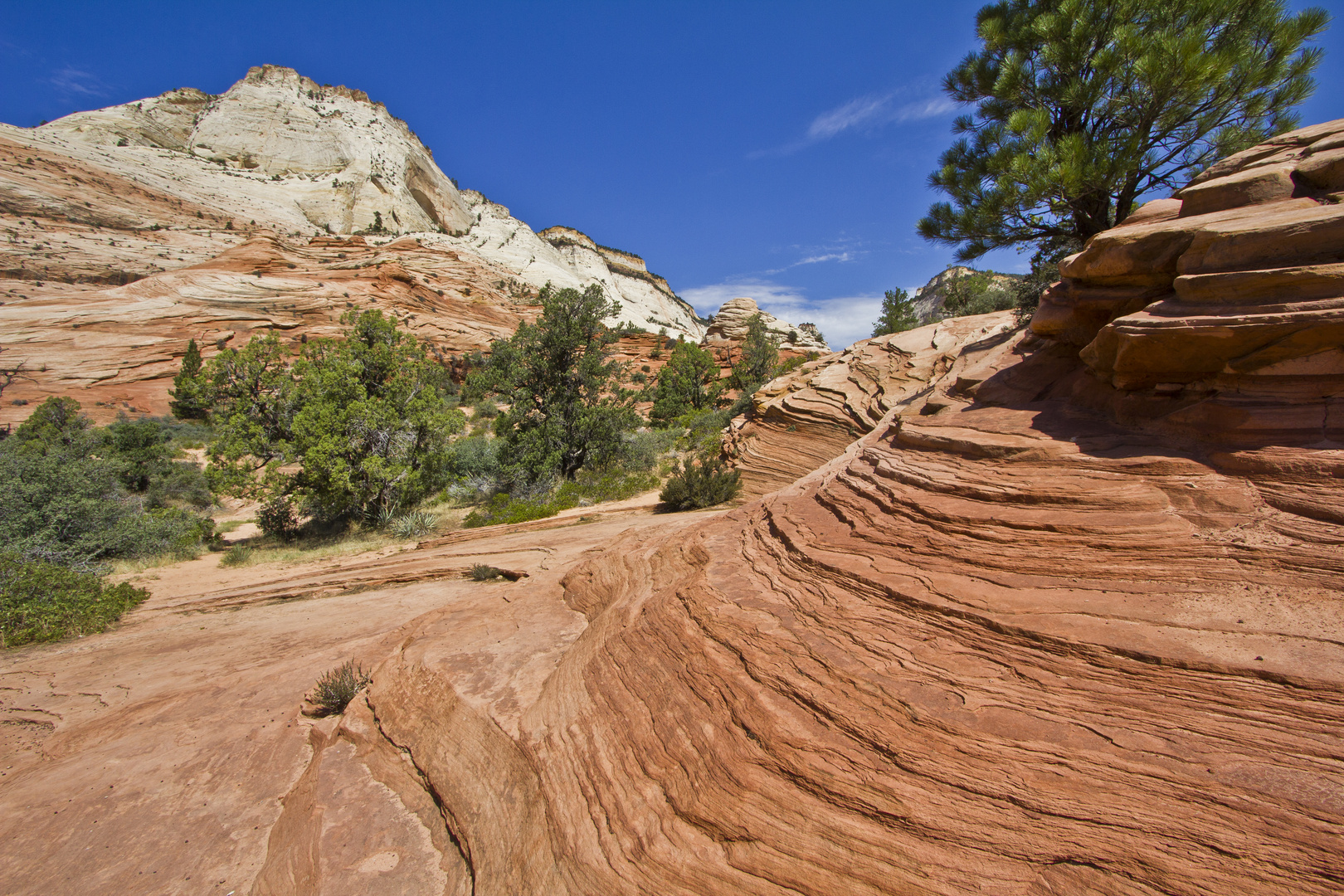 Zion Nationalpark, Utah (USA)