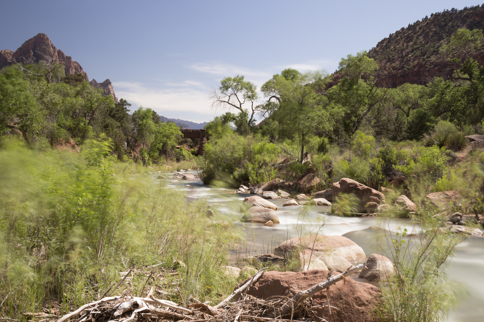 Zion Nationalpark - Virgin River