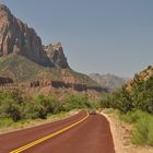 Zion natl. park