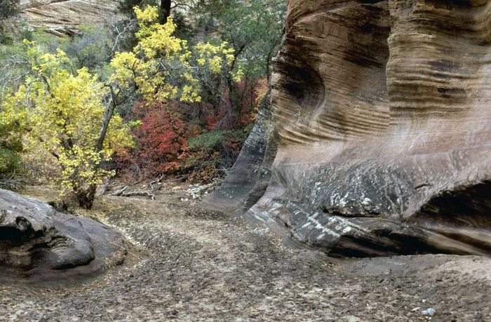 Zion NP 01