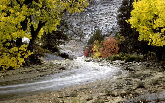 Zion NP 02