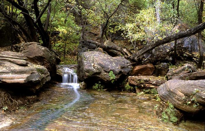 Zion NP 03