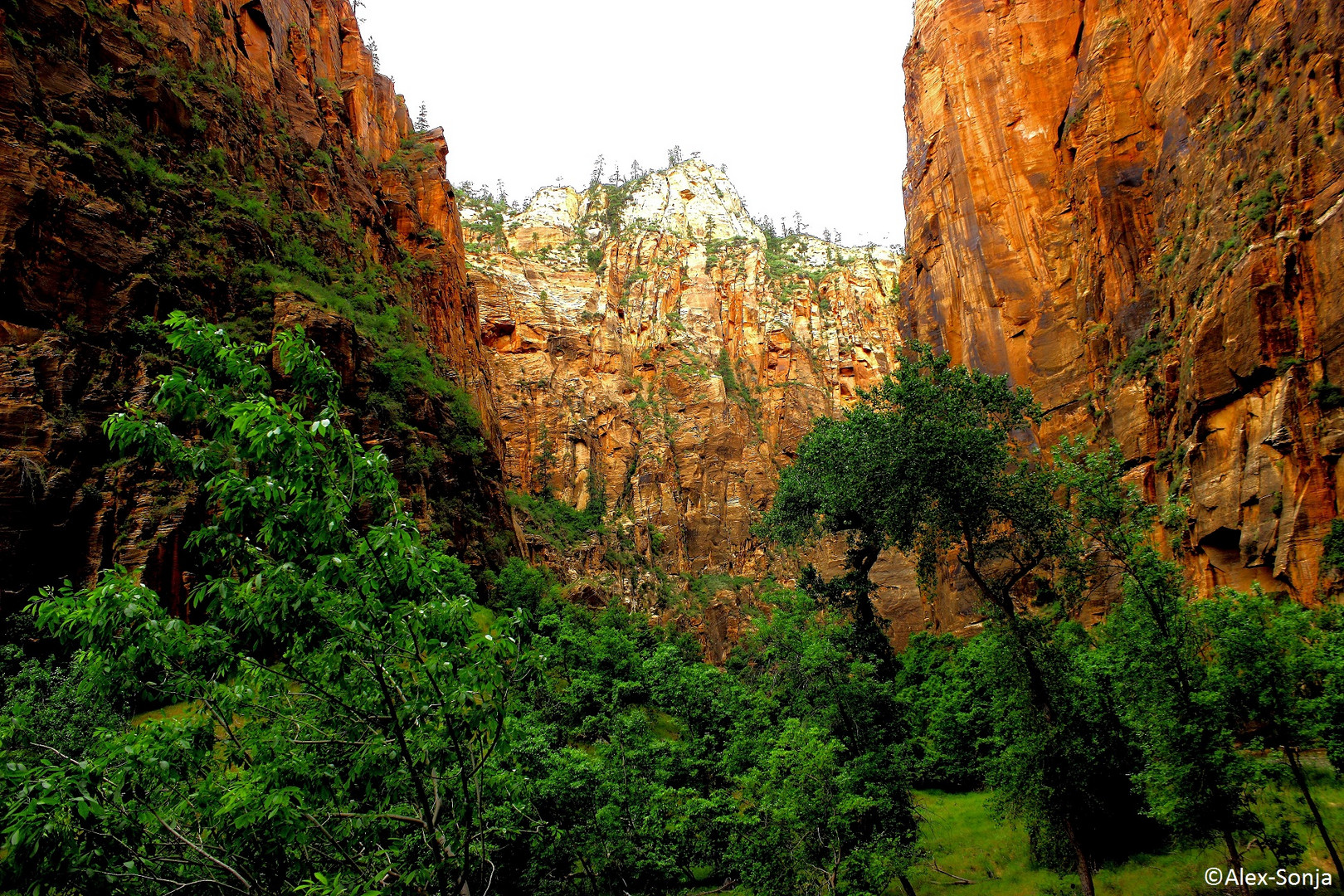 Zion NP