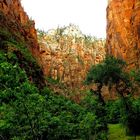 Zion NP