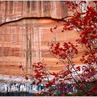 Zion NP # 08