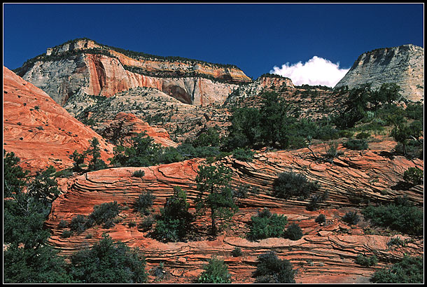 Zion NP