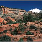 Zion NP