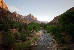 Zion N.P.