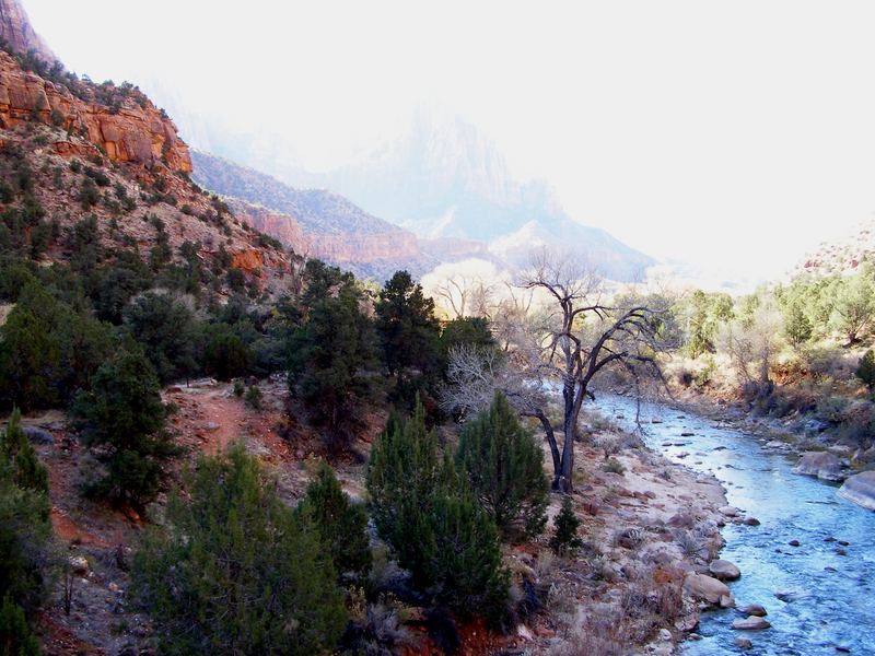 Zion NP