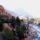 Zion NP