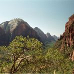 Zion NP