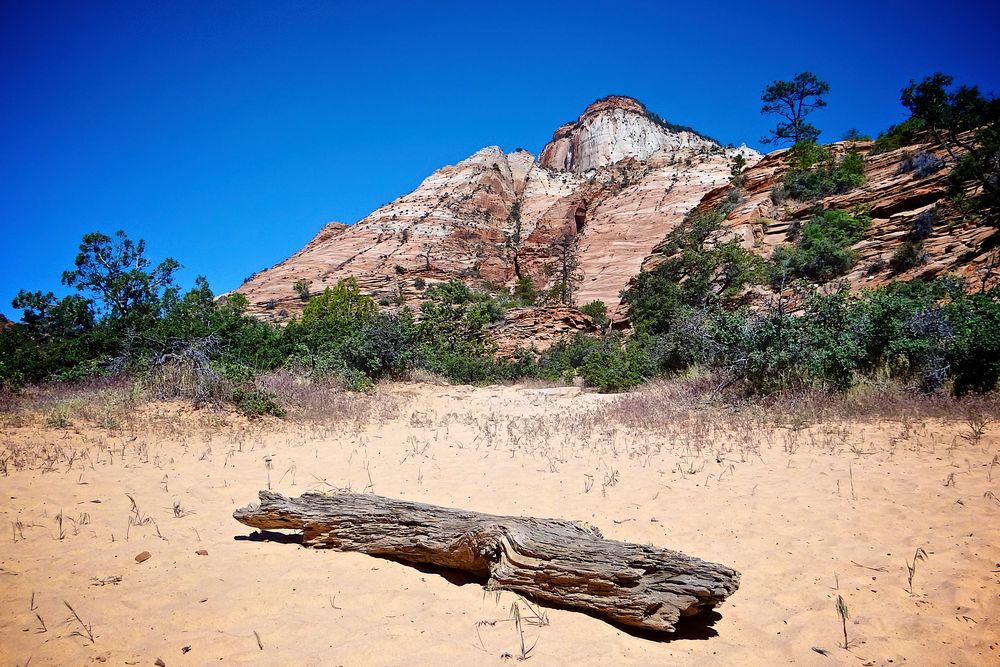 Zion NP