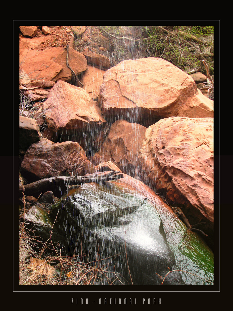 Zion NP...