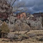 Zion NP