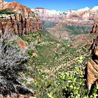 Zion NP