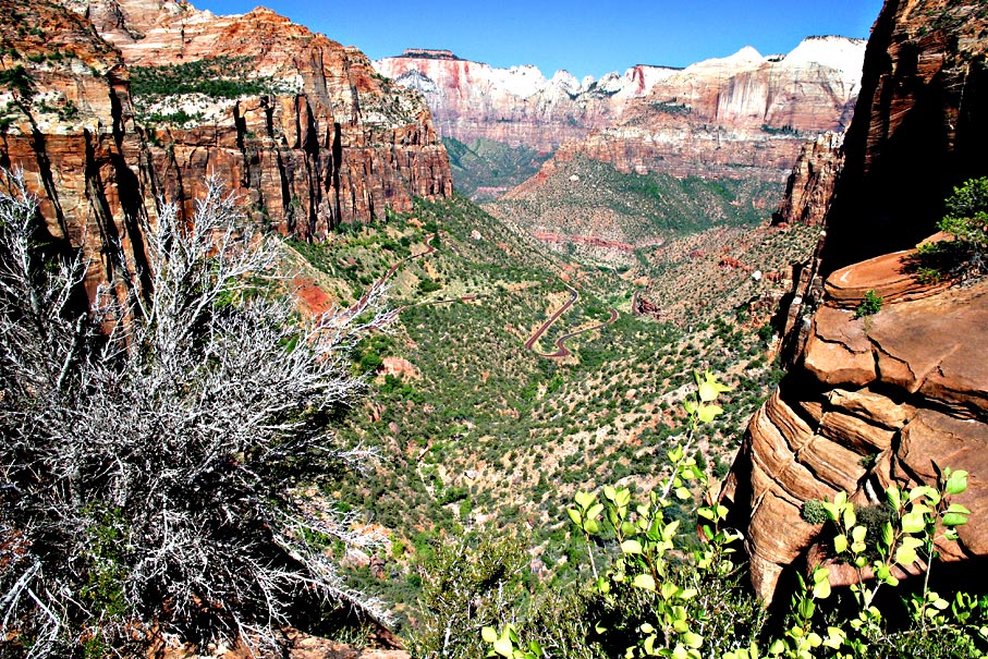 Zion NP