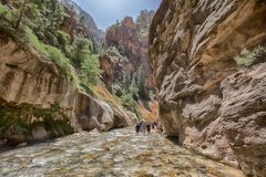 Zion NP