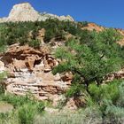 Zion NP