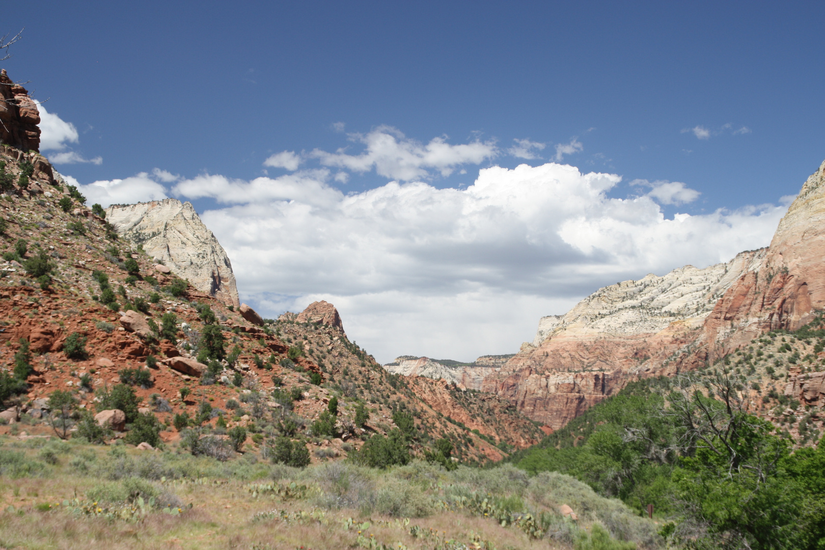 Zion NP