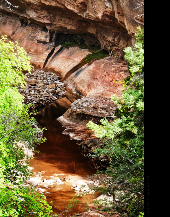 Zion N.P.