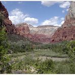 Zion N.P.