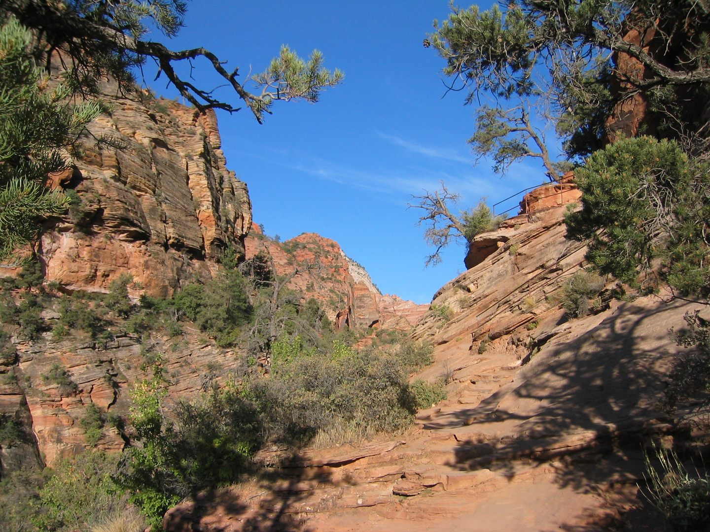 Zion NP