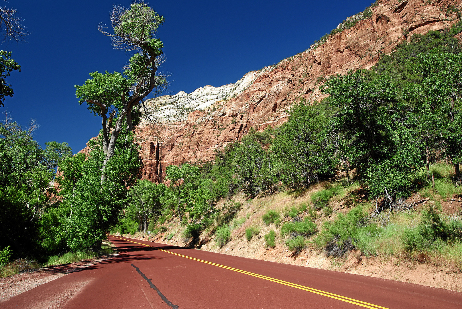 Zion NP