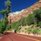 Zion NP