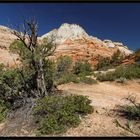 Zion NP