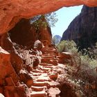 Zion NP