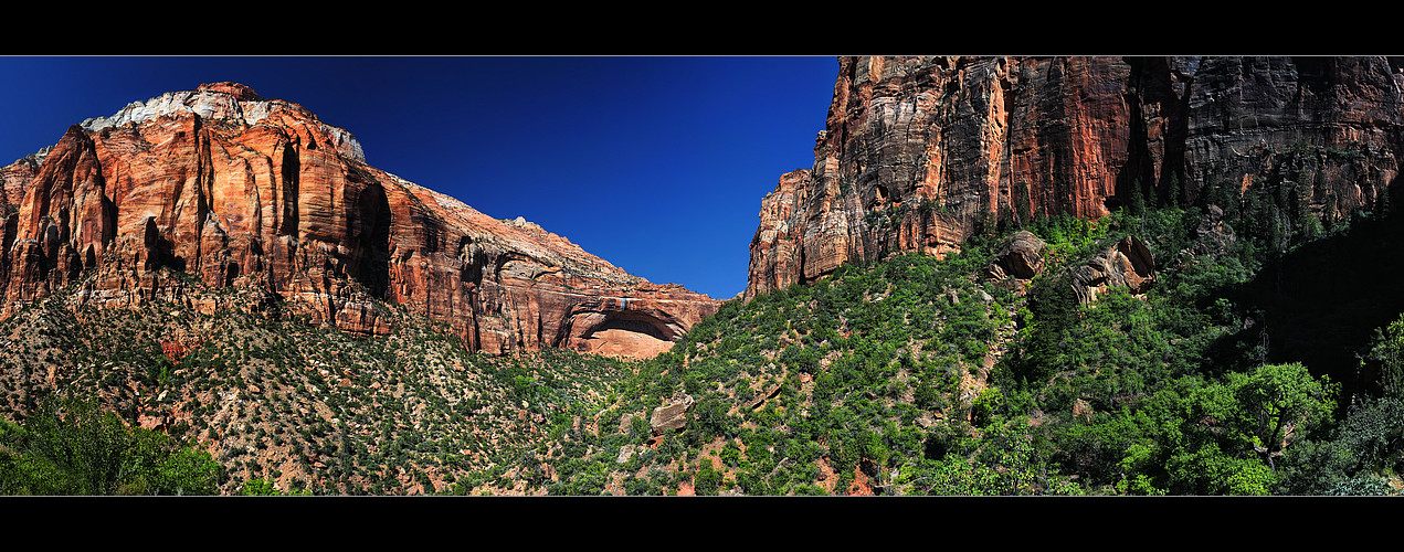 Zion N.P. (II)