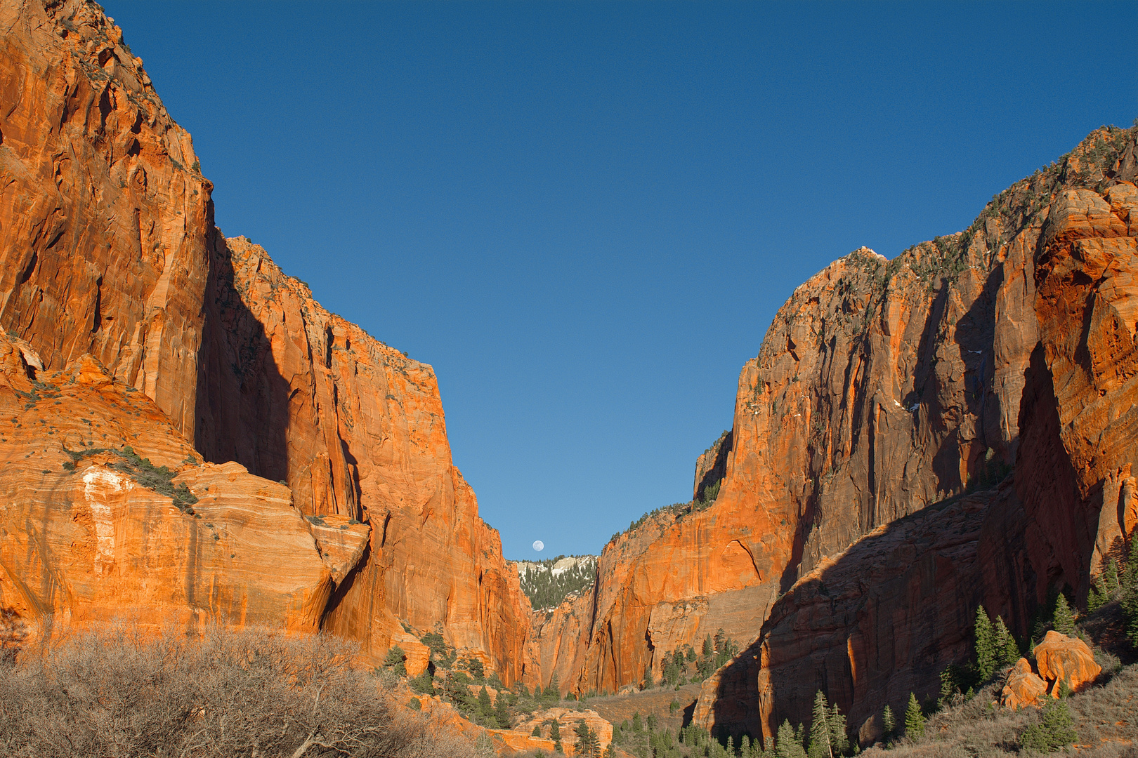 Zion N.P. Kolob Canyon - Fenster zum Mond