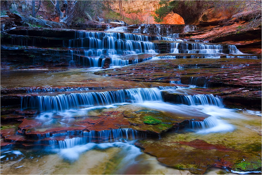 Zion NP, Left Fork Trail, Cascades