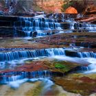 Zion NP, Left Fork Trail, Cascades