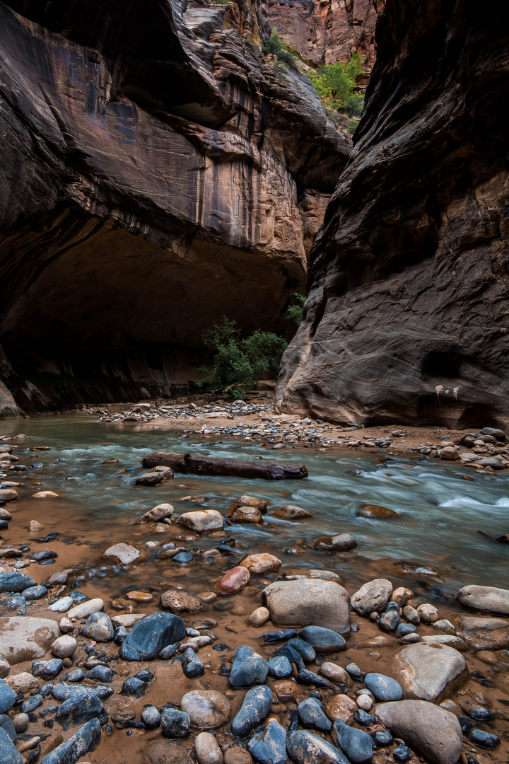 Zion NP - Narrows 2