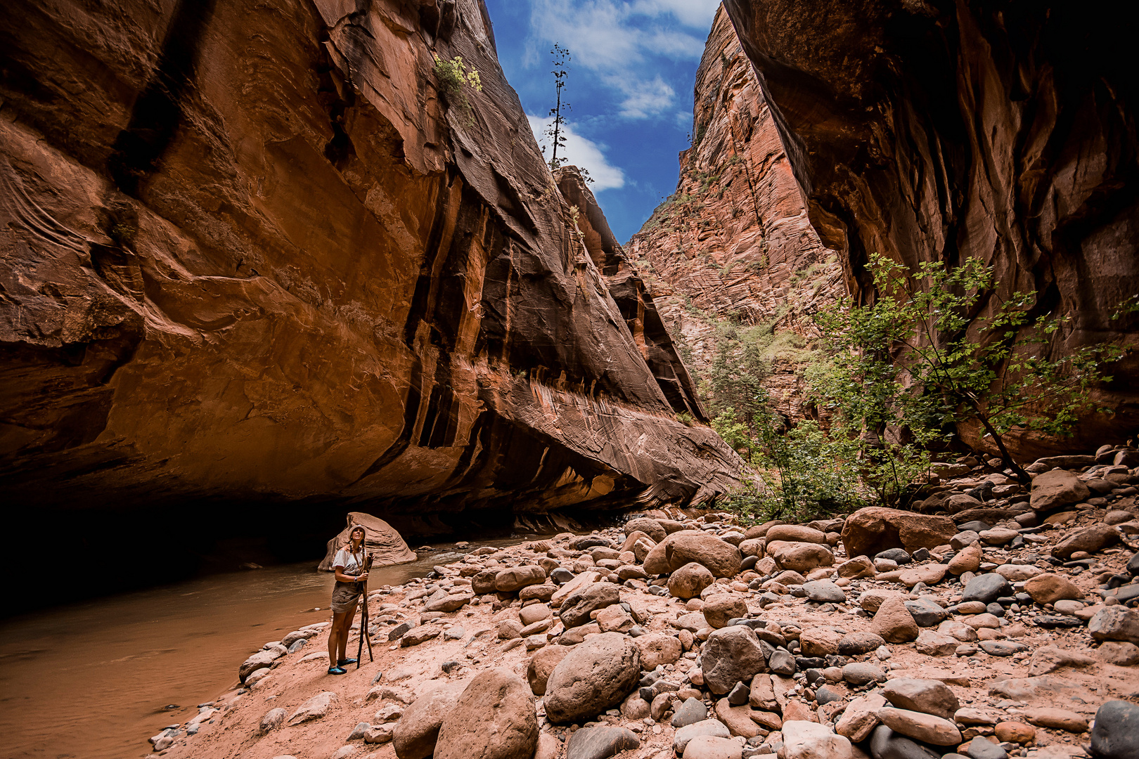 Zion NP - Narrows 3