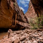 Zion NP - Narrows 3