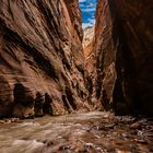 Zion NP - Narrows 4